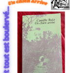 Un chien arrive, Camille Ruiz