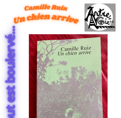 Un chien arrive, Camille Ruiz