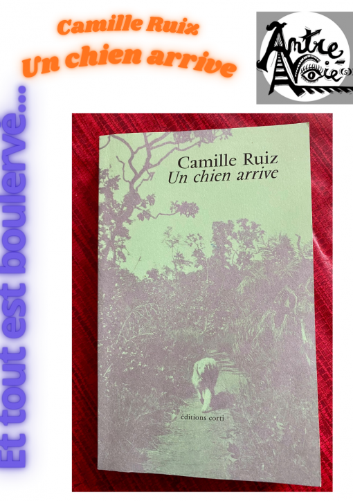 Un chien arrive, Camille Ruiz