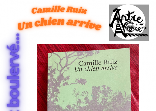 Un chien arrive, Camille Ruiz